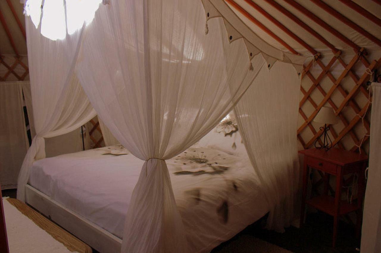 アロラ Casa Las Olivas Bed & Breakfast エクステリア 写真